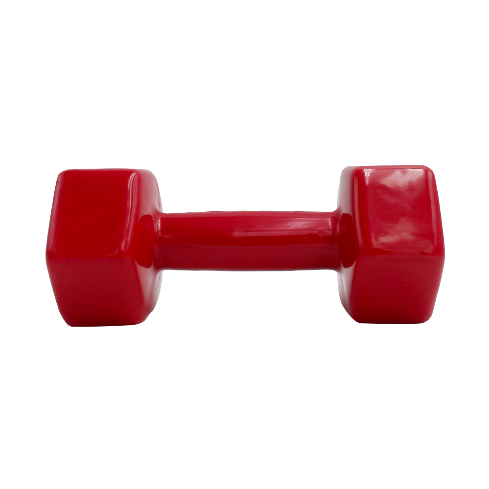 VINYL DUMBBELL ΑΛΤΗΡΑΣ ΒΙΝΥΛΙΟΥ 5kg (RED) LIGASPORT