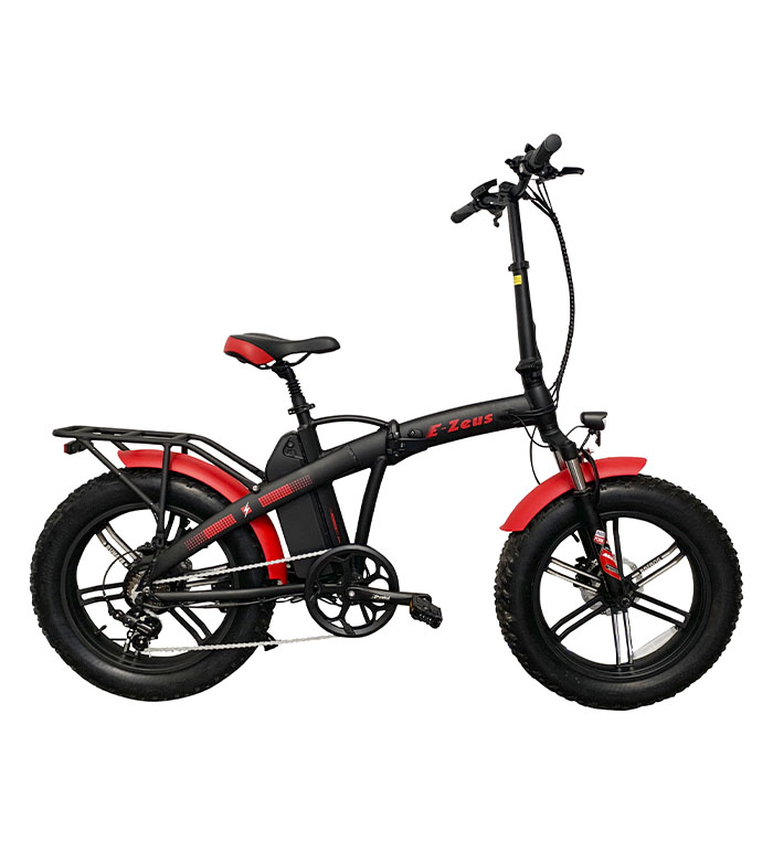 E-BIKE ZEUS