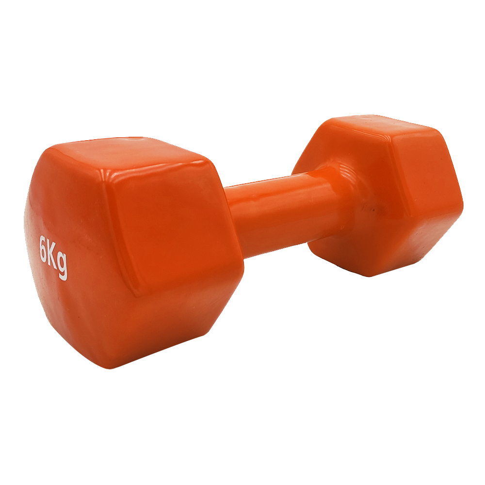 VINYL DUMBBELL ΑΛΤΗΡΑΣ ΒΙΝΥΛΙΟΥ 6kg (ORANGE) LIGASPORT
