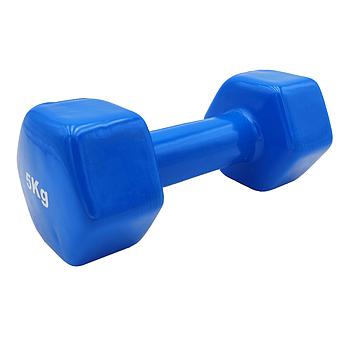 VINYL DUMBBELL ΑΛΤΗΡΑΣ ΒΙΝΥΛΙΟΥ 5kg (χρώμα μπλε) LIGASPORT