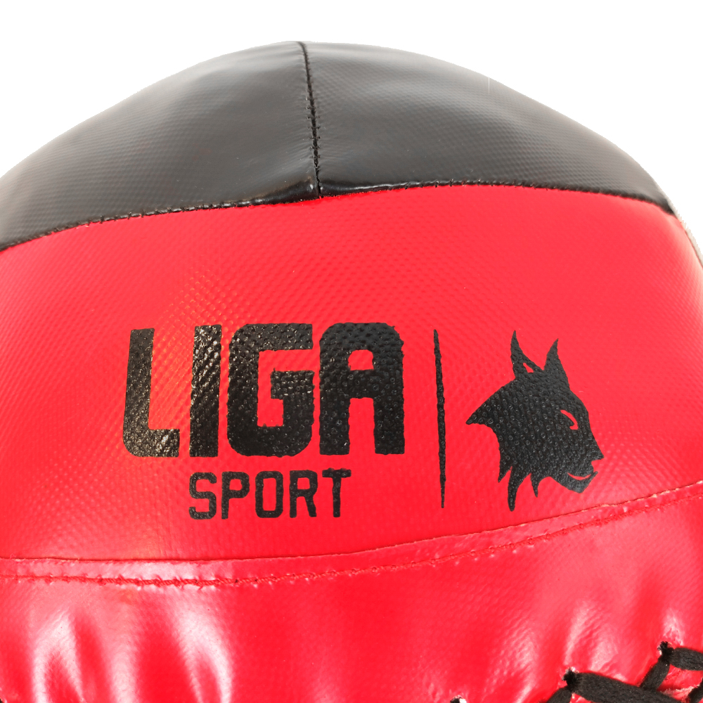 WALL BALL 4 KG LIGASPORT