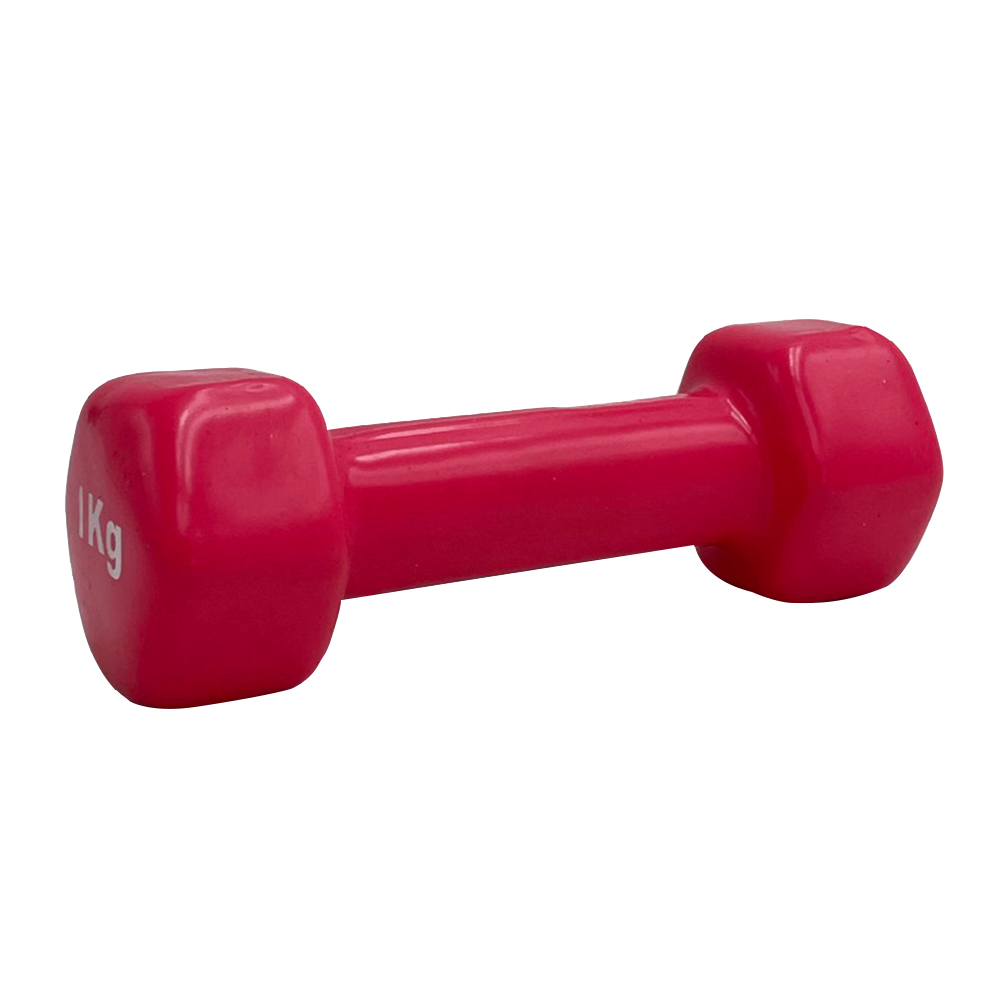 VINYL DUMBBELL ΑΛΤΗΡΑΣ ΒΙΝΥΛΙΟΥ 1kg (χρώμα ρόζ) LIGASPORT
