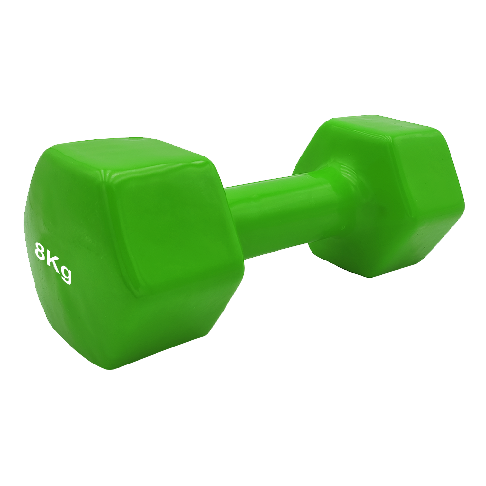 VINYL DUMBBELL ΑΛΤΗΡΑΣ ΒΙΝΥΛΙΟΥ 8kg (χρώμα πράσινο) LIGASPORT