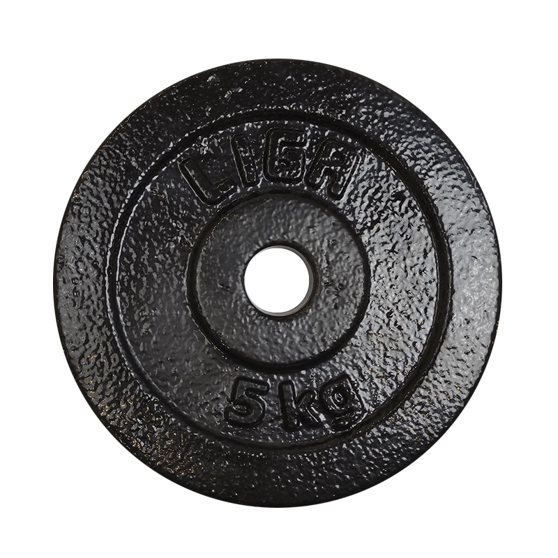 CAST IRON DISCS 5kg (Φ28) LIGASPORT