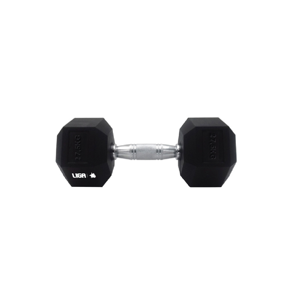 DUMBBELL-27,5kg (ΑΛΤΗΡΑΣ) LIGASPORT