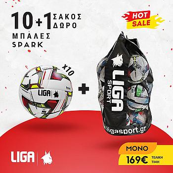 SOCCER BALL SPARK (10 PCS) & BALL CARRY BAG